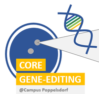 geneediting.png