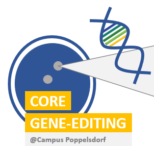 geneediting.png