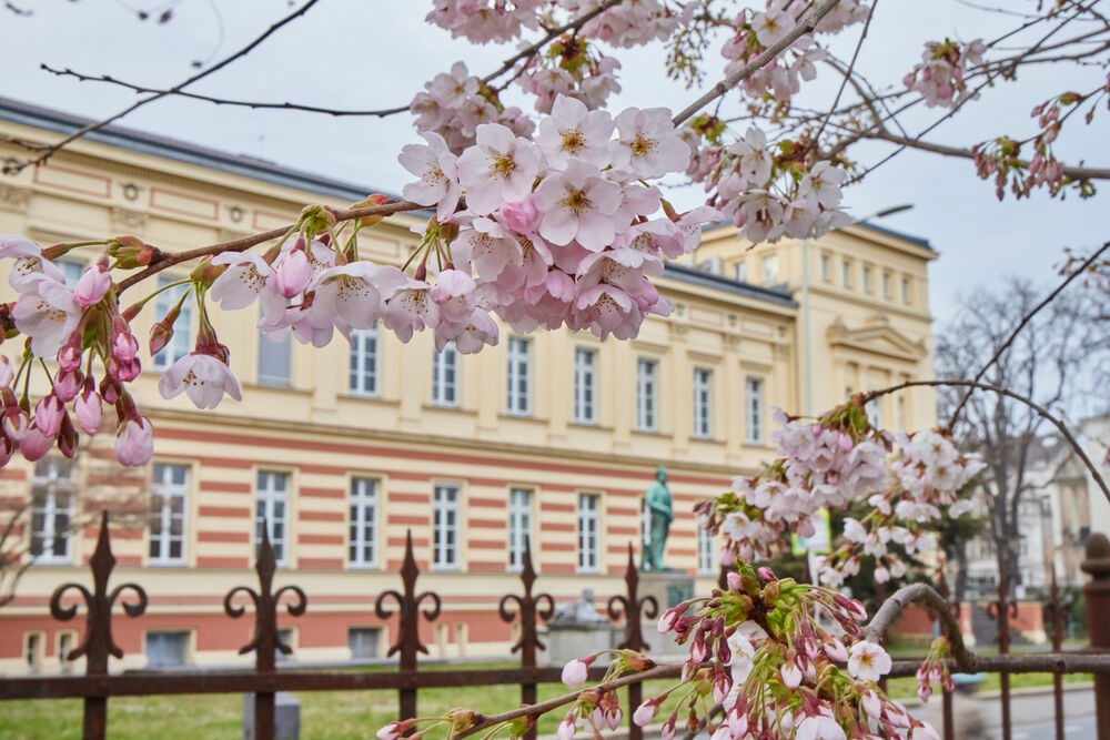 uni_vl_Freuhling_200322_07.jpg