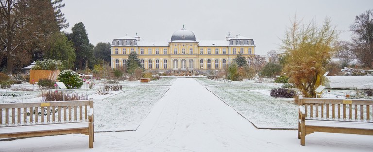 Mathematisch-Naturwissenschaftliche Fakultät